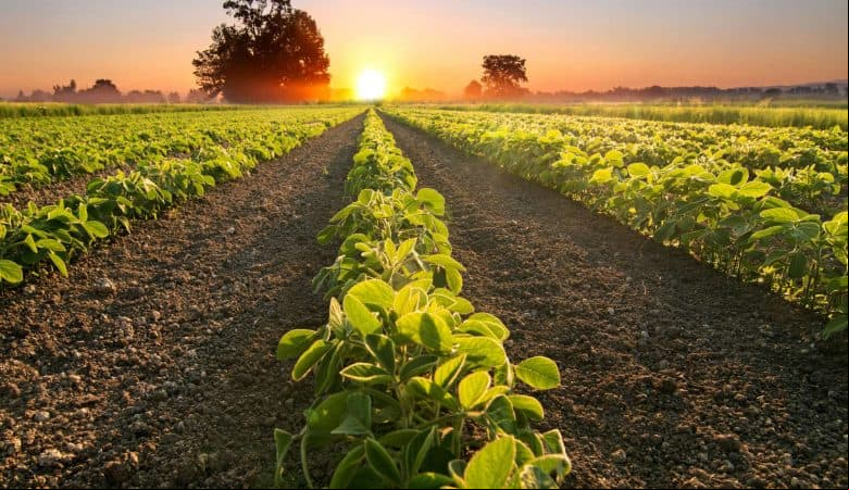 Confira os eventos mais relevantes do agronegócio e economia desta semana! 