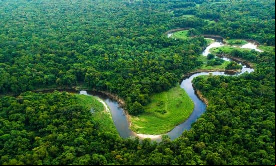 Dia da Mata Atlântica tem comemoração especial em Santa Teresa/ES